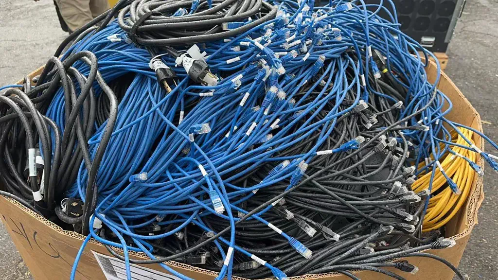 A pile of blue ethernet cables